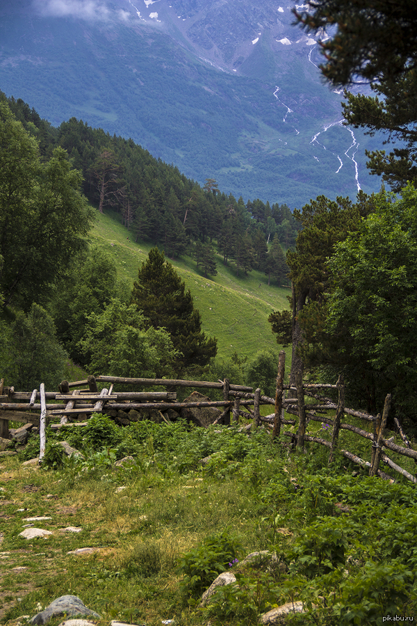      ,       ...       ...