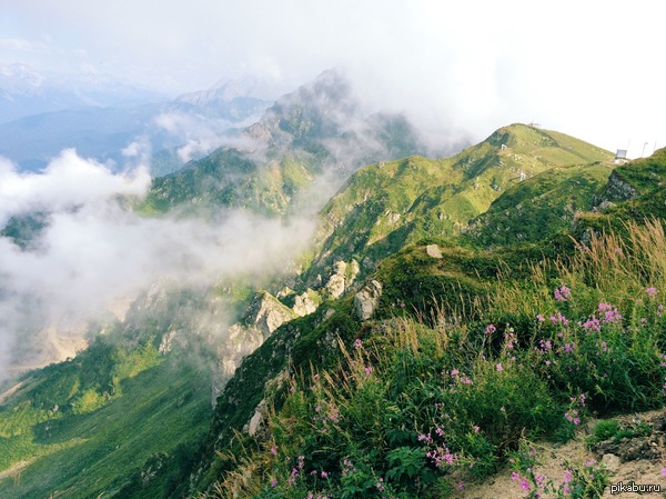 Посты про политику попадают в горячее, а посты про природу не попадают никуда... Но природа мне нравится больше, чем политика...