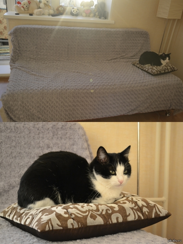 ���� ����� ��������..