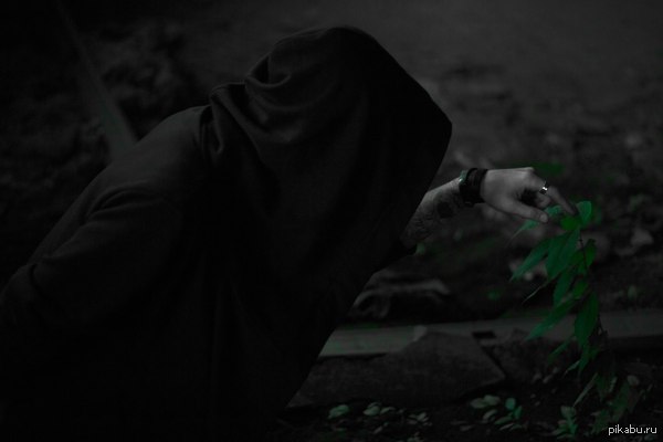 Такой интересный фотосет был сегодня