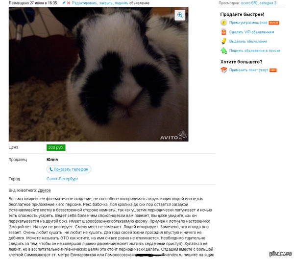 ������-������