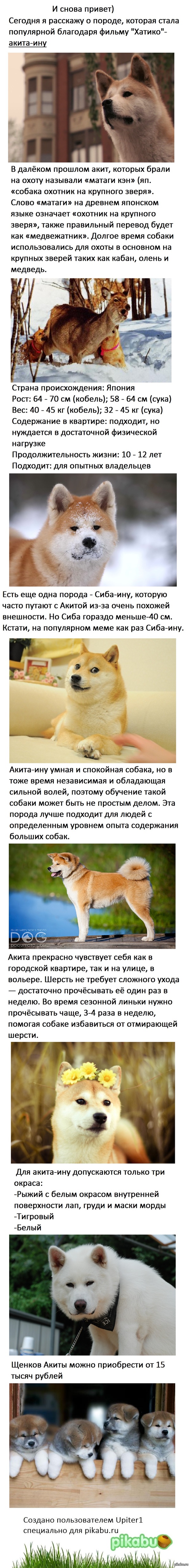   . -. 