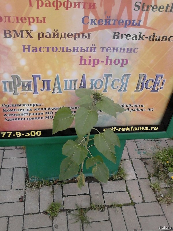 Главное верить в себя