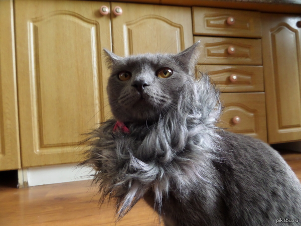 �� ������ ������!!!