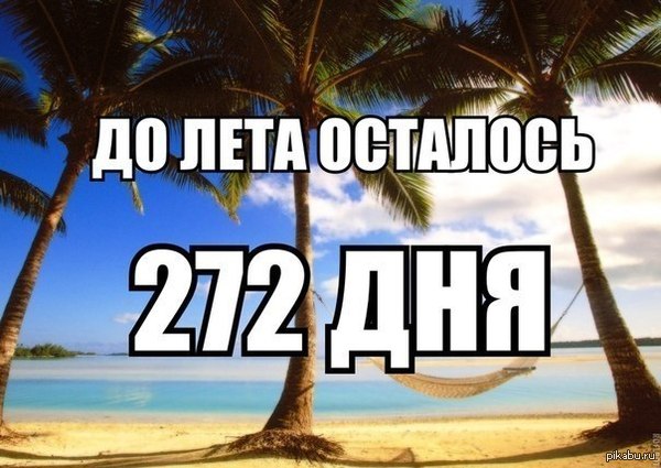 ����� �����! ����, ����, ������!