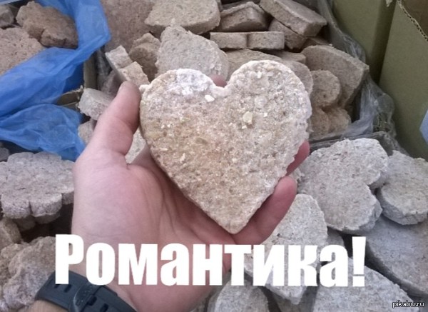 Романтика для холостяков