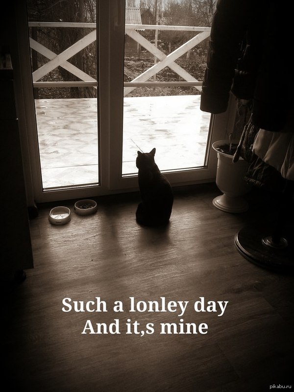 � ���� 1 ��������, � � ���� ��� �������