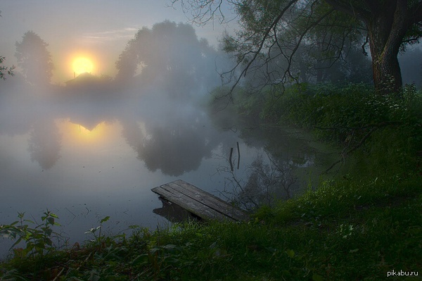 ������� ��� ��������