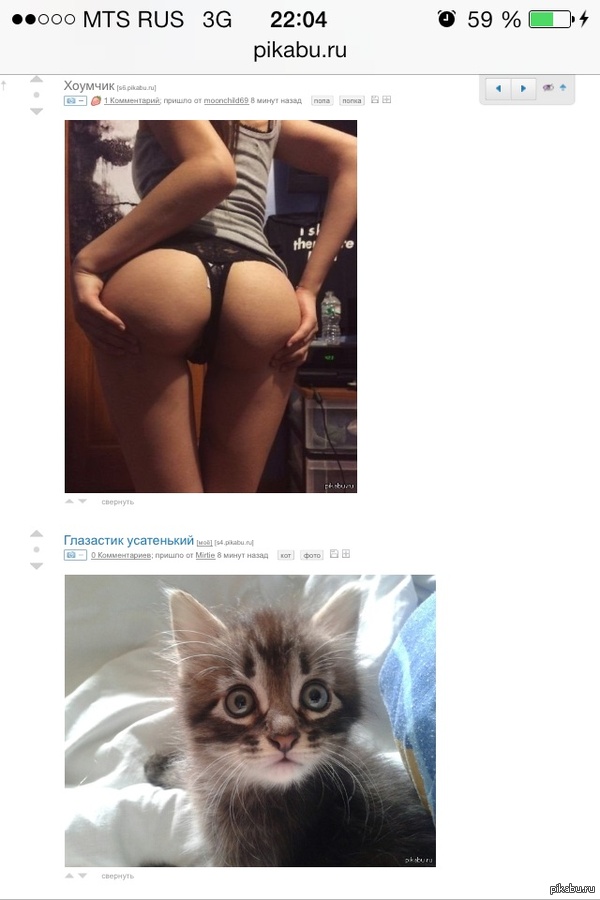 When posts complement each other. :) - NSFW, Posts, cat, Repost, Booty, At night, 