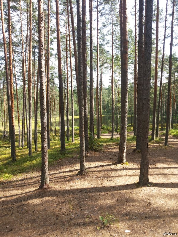 Маленький уголок рая на земле.