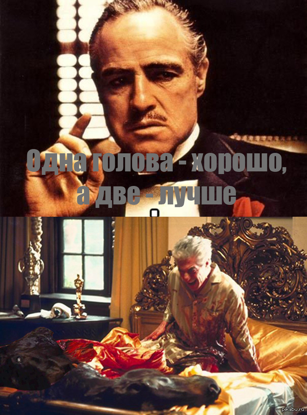 ���� ������ - ������