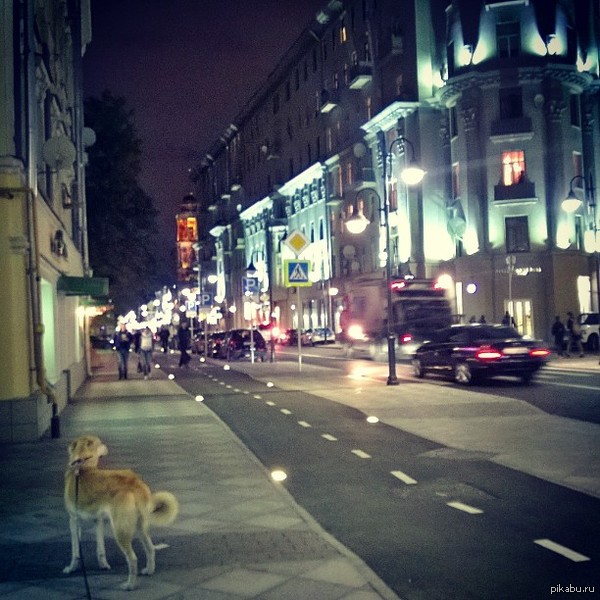 Какой же красивой сделали Пятницкую улицу