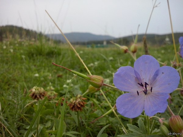 Еще немного природы для пикабу)