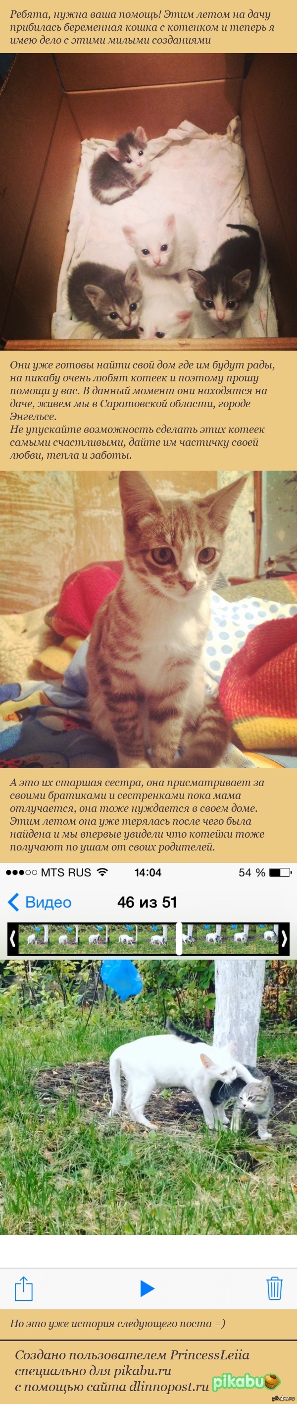 ������� ���� ����� ��� � ���