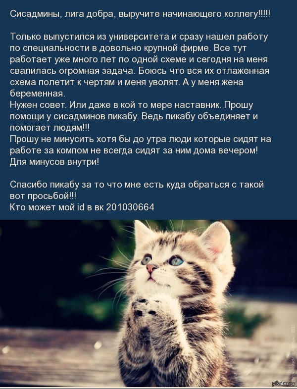 Сисадмины лиги добра выручайте!!!