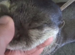   ! 
