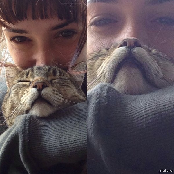 Подождал до хорошего момента