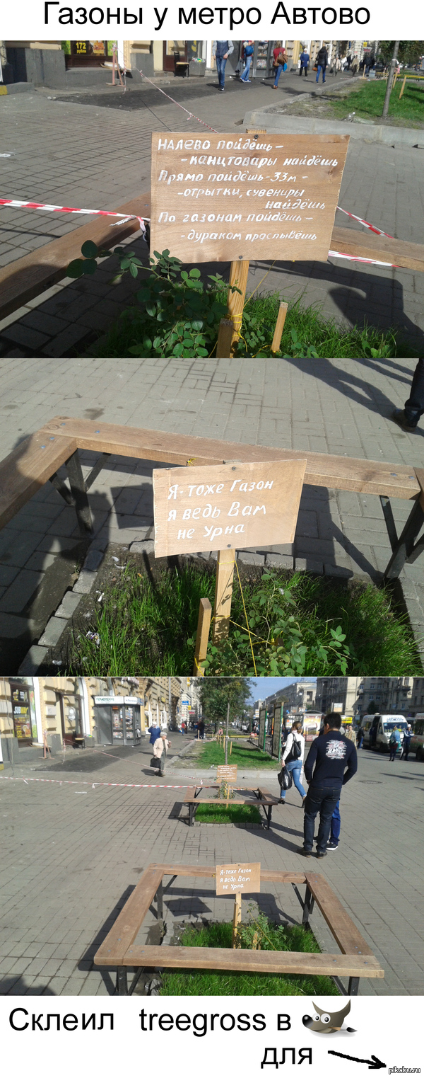 Газоны у метро Автово, Спб