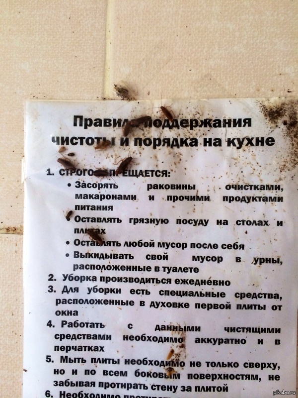 Правила чистоты 😔