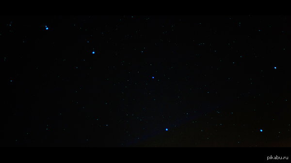 Из окна городской квартиры..