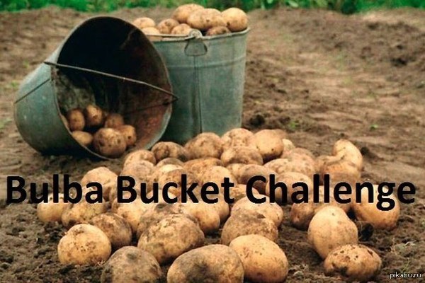 Bulba Bucket Challenge!   =)  ...