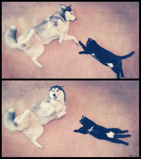 ����������)