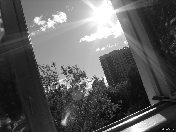 ������ ��� �� ����