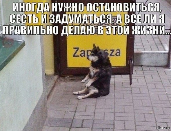 ���������� �������