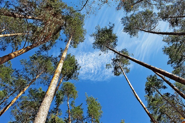 ���������� ������� �������� �����:)