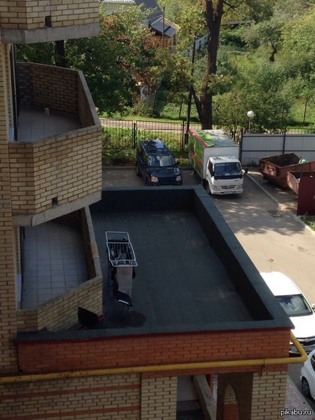 ���� �� ��������� ������ ������� ���! - ����� ���� �������...