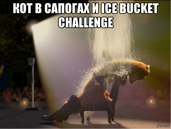     ice bucket challenge