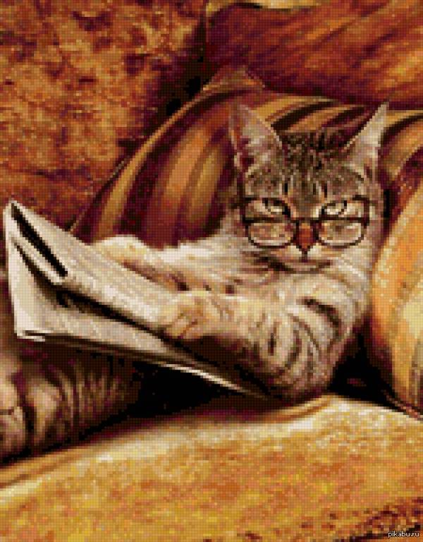     \&quot; , \&quot; () . . 