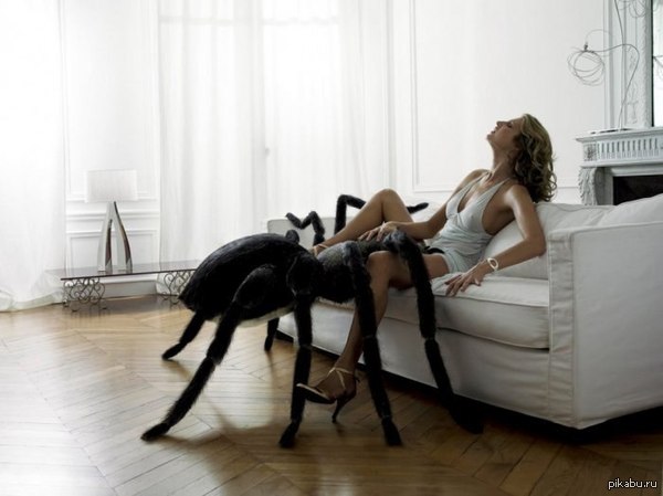 Arachnophobia - NSFW, Spider, Girls