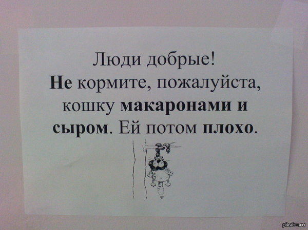 � ��������