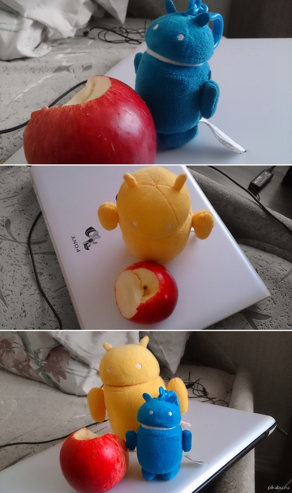 ��� ������ � ��������