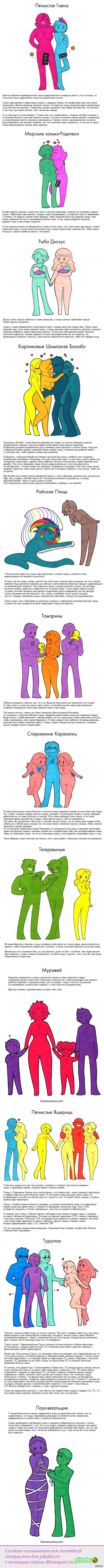 �� ��� � ������