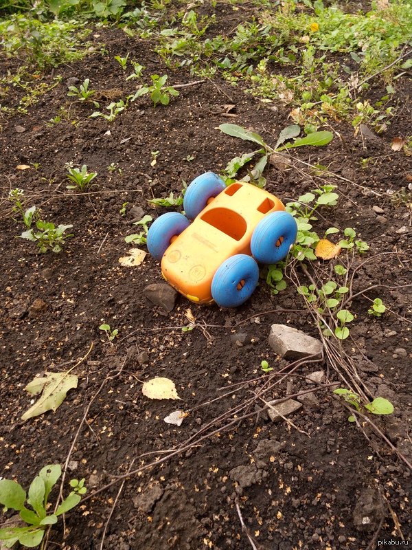 ������� ������������, ��� �� ������� � �������