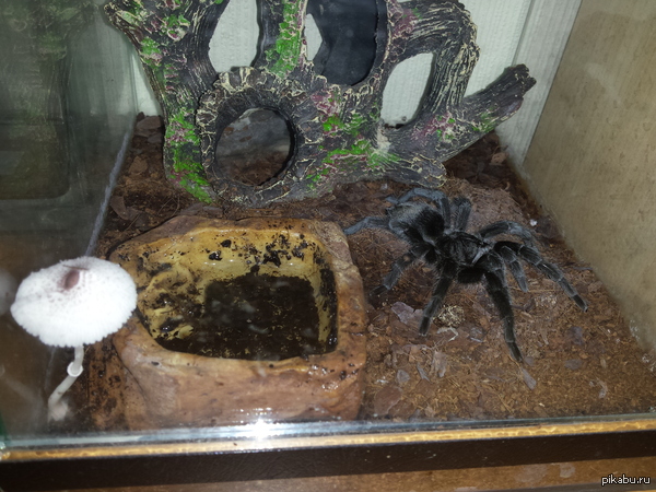 ���������...