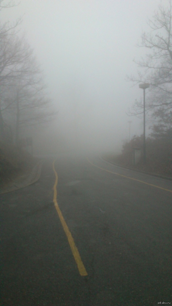 Welcome to Silent Hill        ,    2014