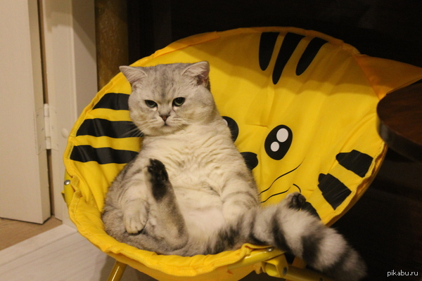 � �� �����, ��� ��� ���?