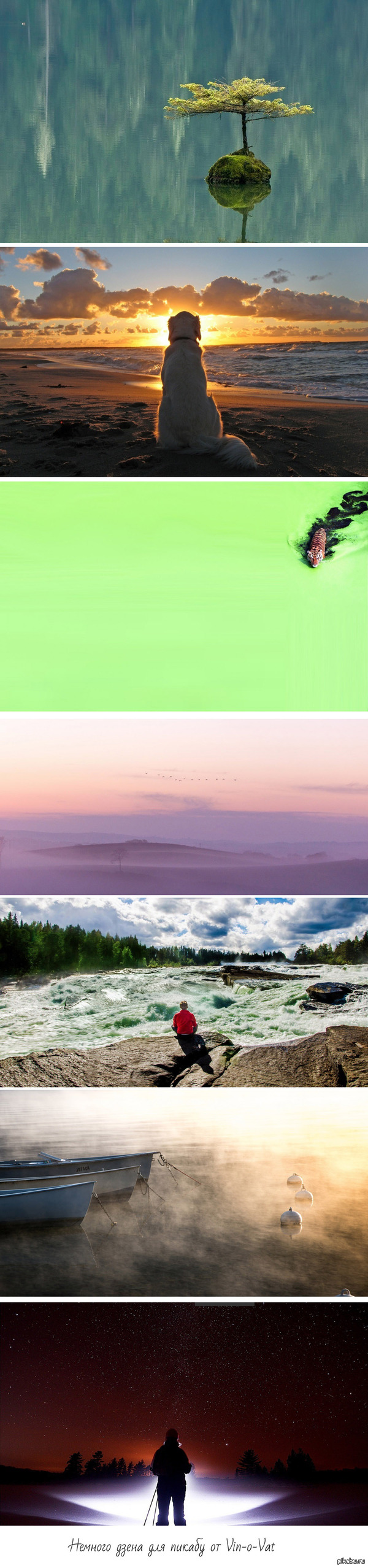 ������� ����� � ����������� �� ������