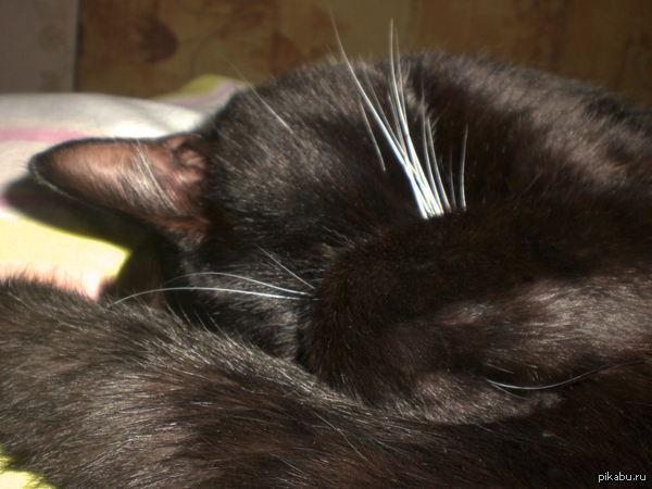 ��� ��� ����� 14 ��� �� ����. � ������� �� ����������� � ���� ��� ����������.