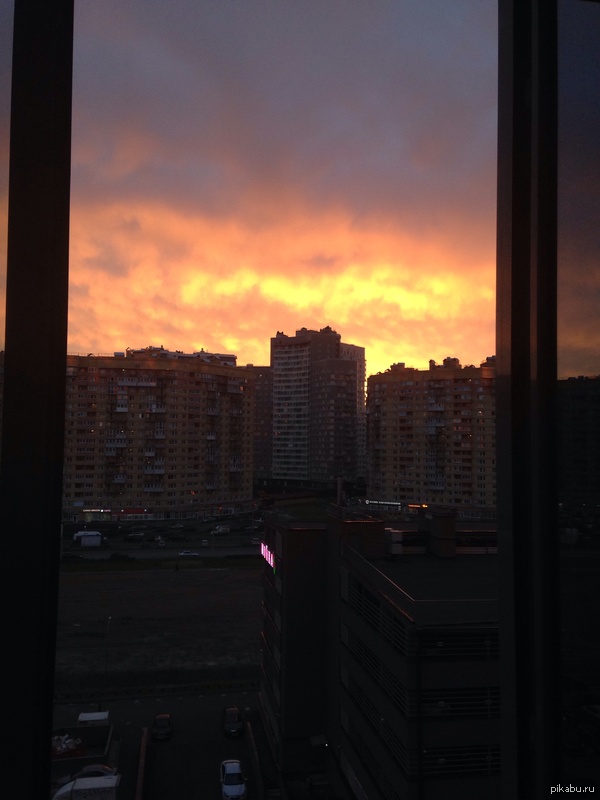 ������ ������