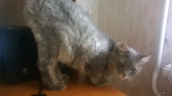 ��� � ����� ���� "�����" ��� ������ ���, ������ ��� ����� � �����.