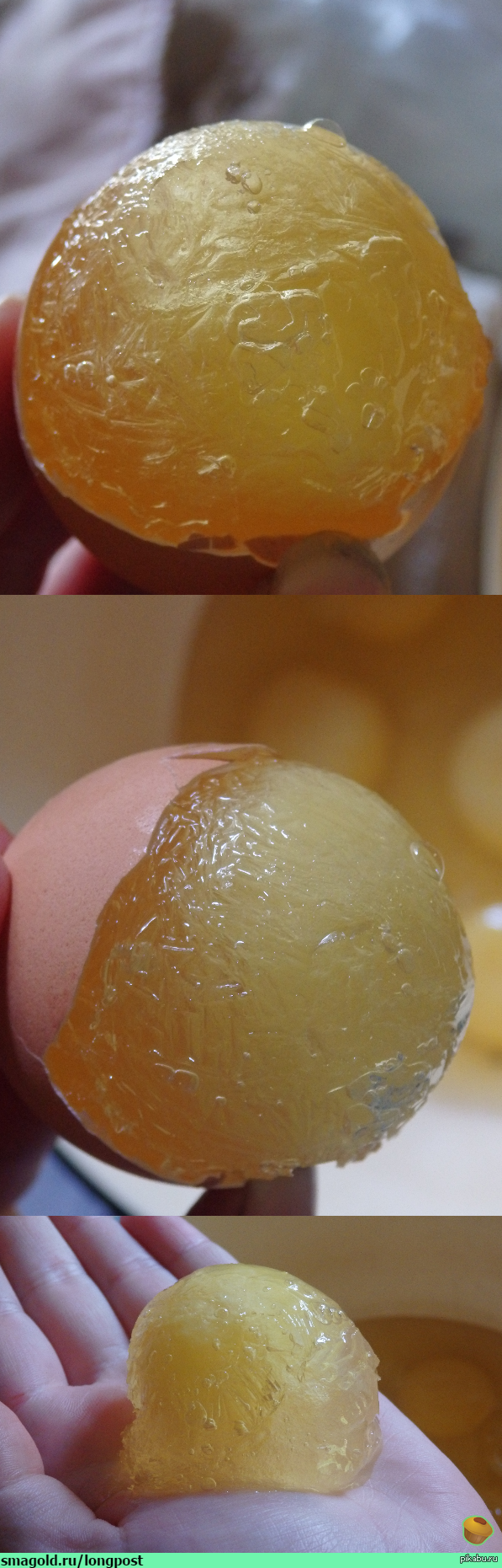 ������������ ������� ����