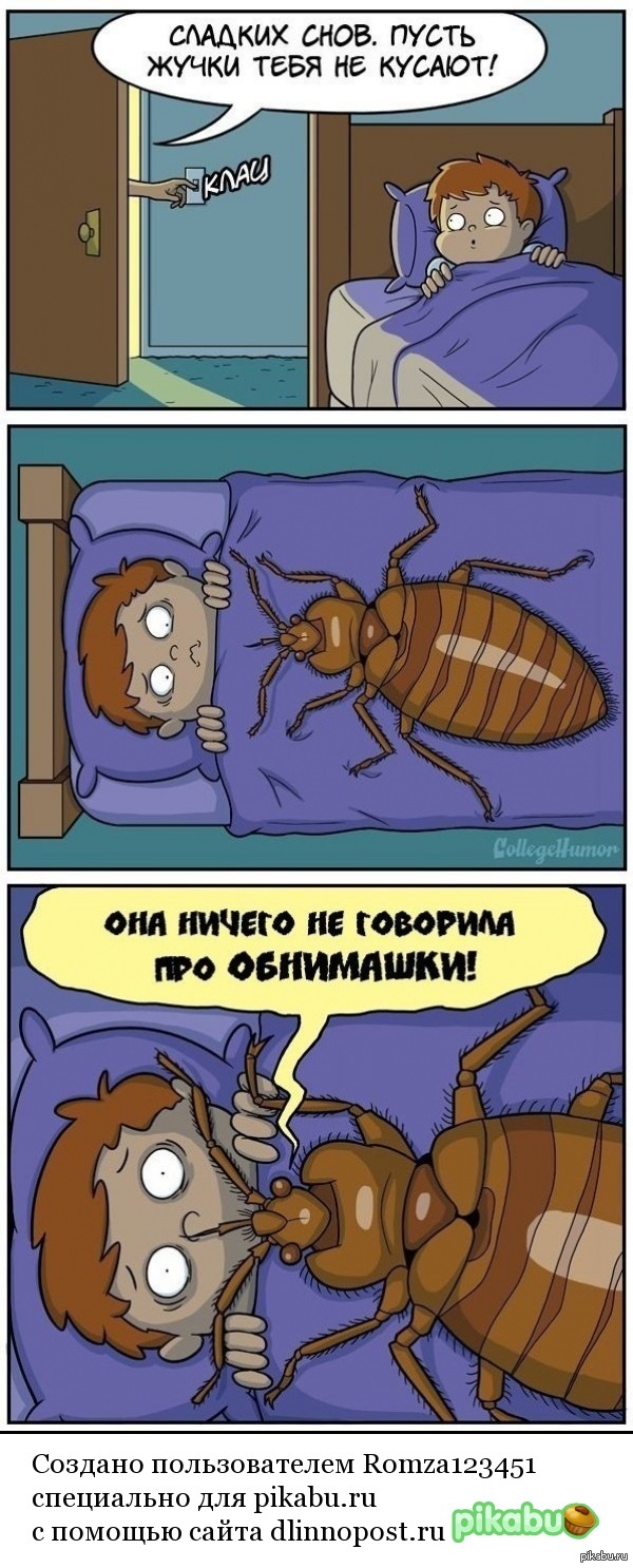 Насекомые юмор