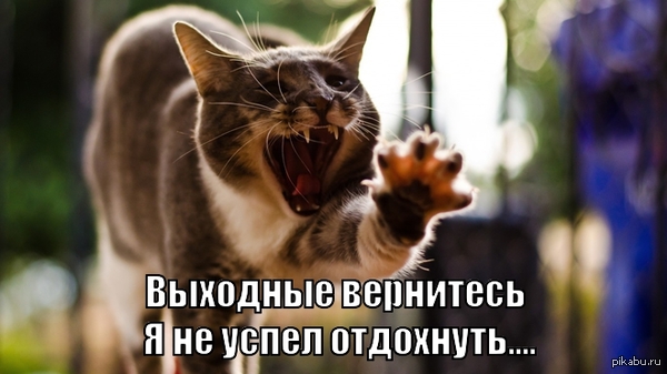 ��������...