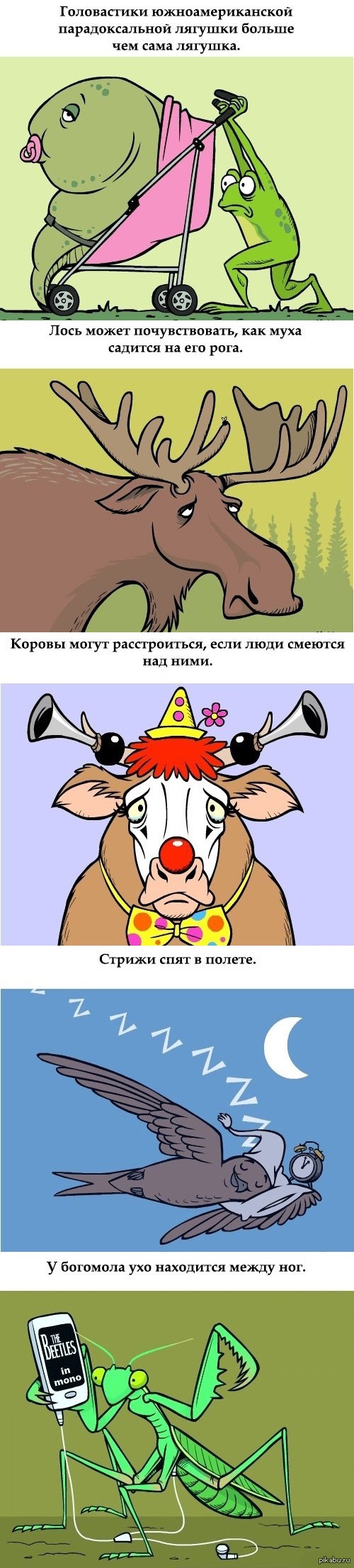 ���������� ����� ��� ��������