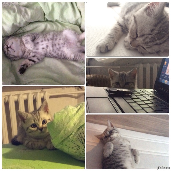 50 �������� ������ :)