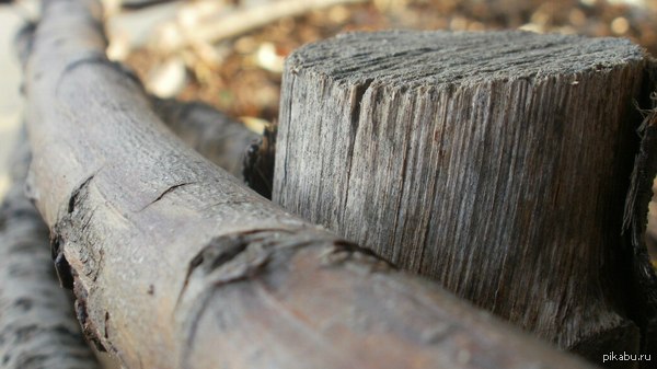 Иногда балуюсь с макро=) Внутри еще пару.